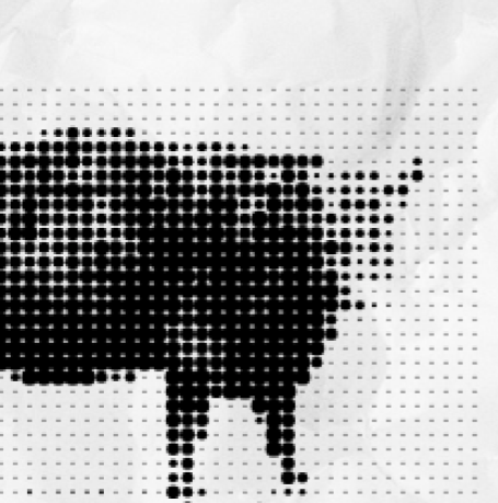 divine bovine